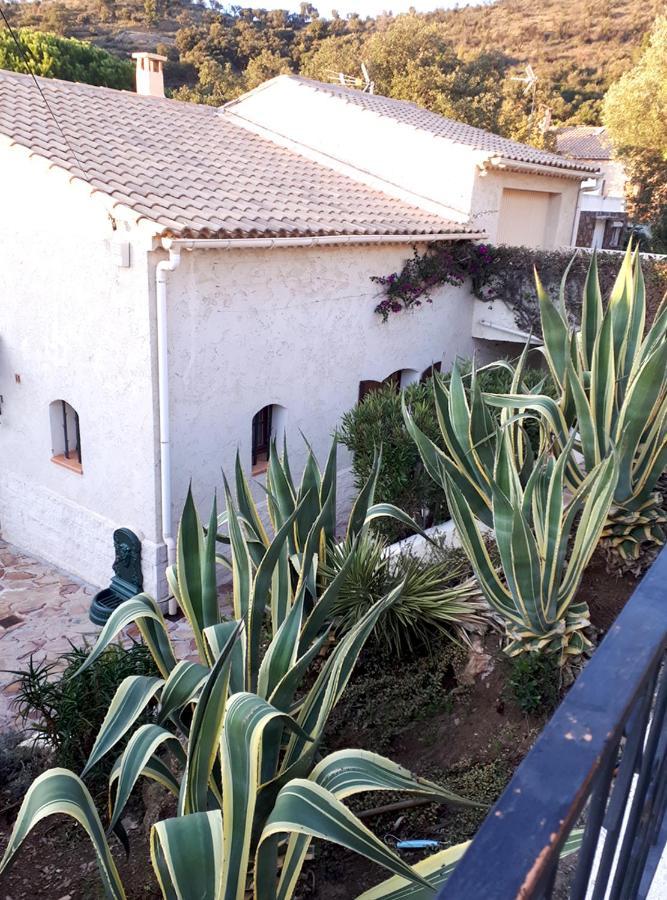 Appartements Dans Villa En Rez De Jardin Hyeres Exterior photo