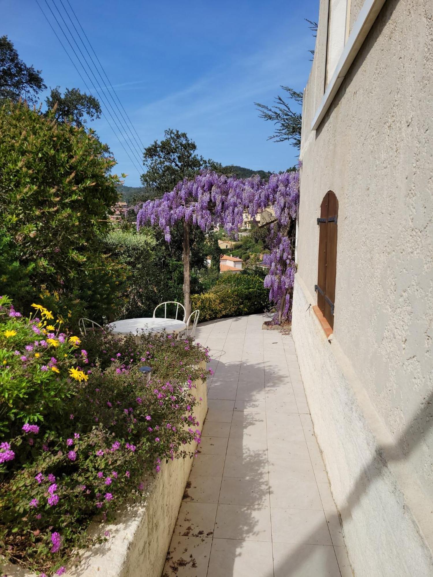 Appartements Dans Villa En Rez De Jardin Hyeres Exterior photo